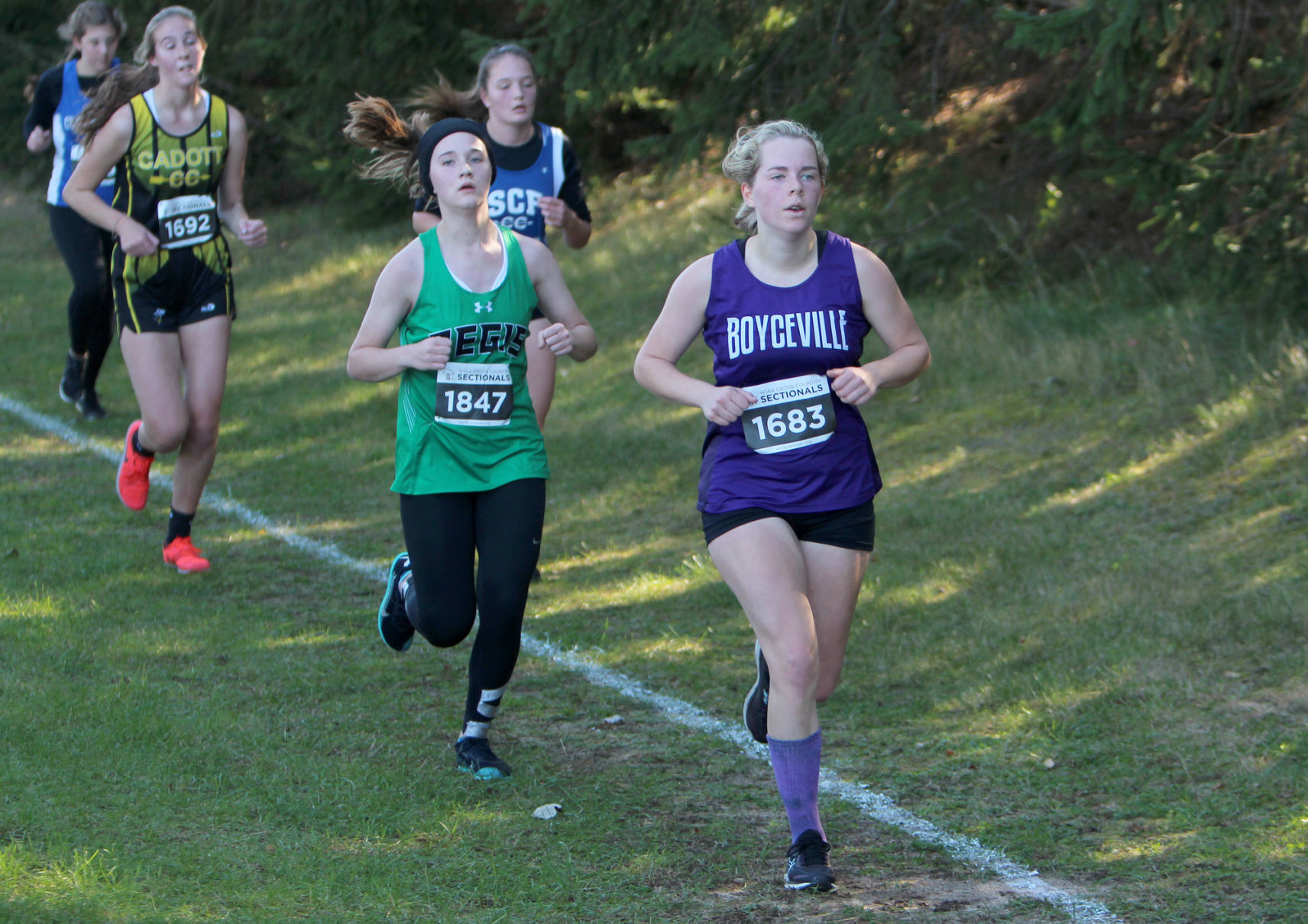 Division 3 Cross Country Sectionals in Boyceville 10-26-19